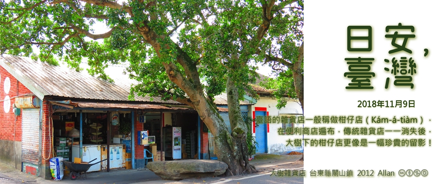 365 日安，臺灣之2018年11月9日